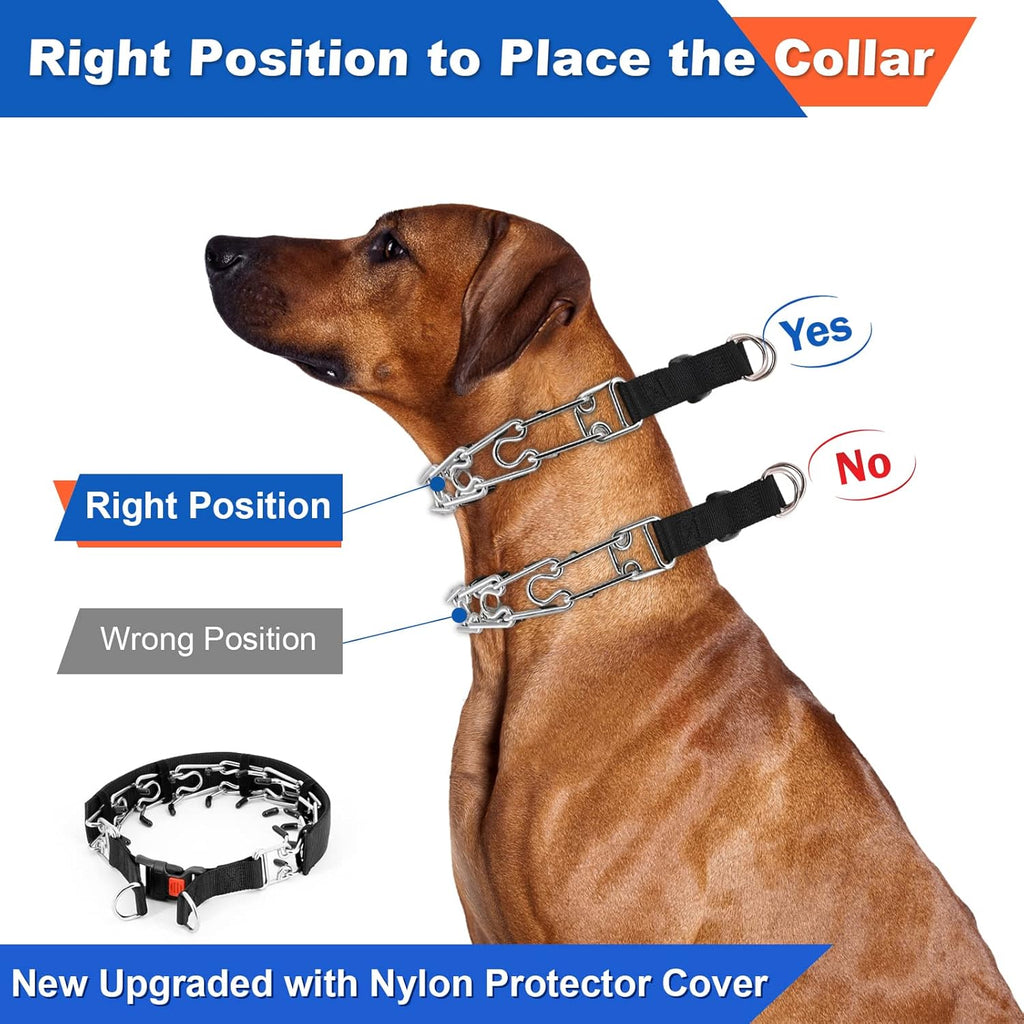 Supet imported dog training prong collar on a canine neck