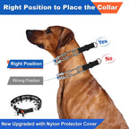 Supet imported dog training prong collar on a canine neck