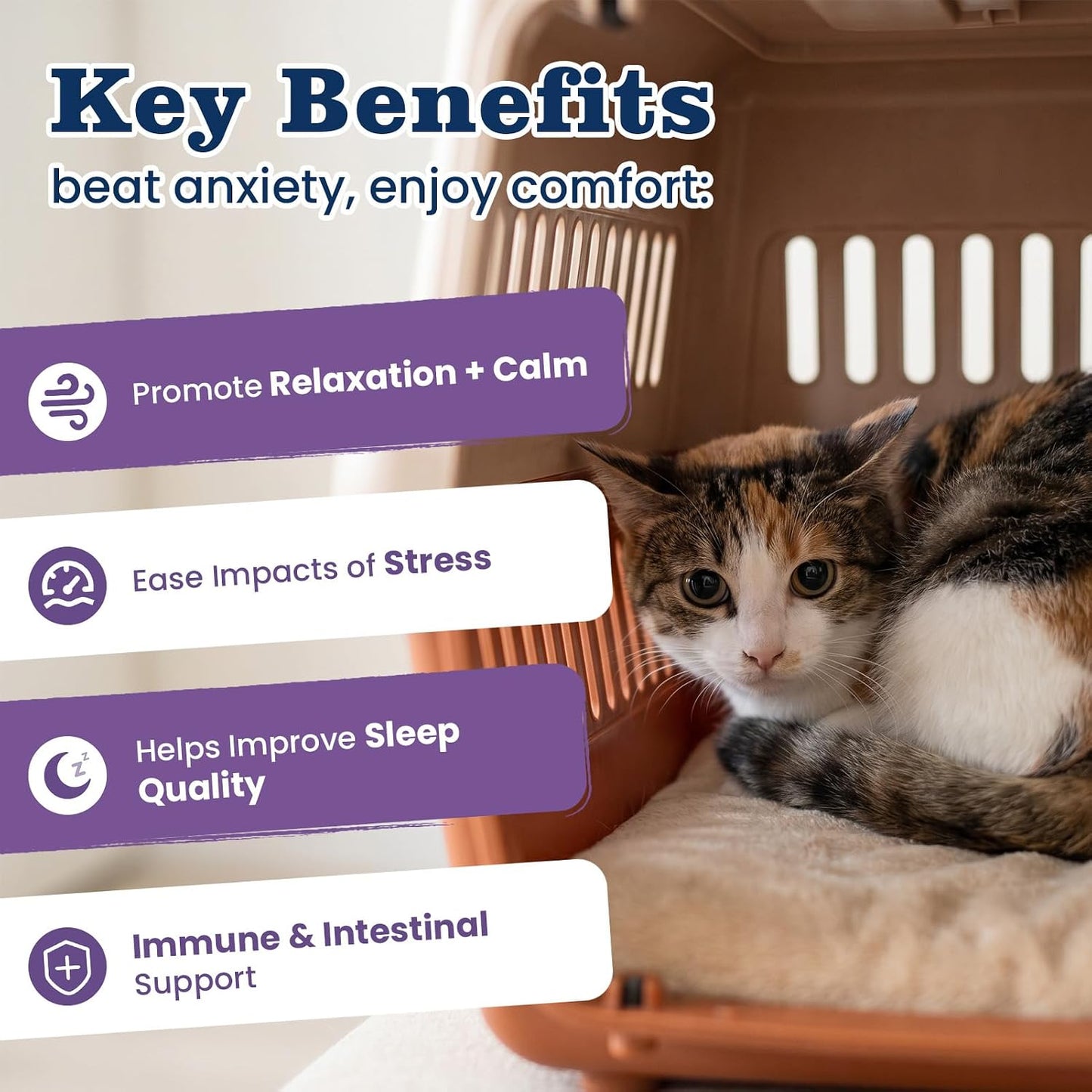 Back label of PLBKCTS cat calming chews showing active ingredients like hemp and chamomile.