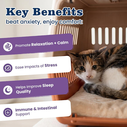 Back label of PLBKCTS cat calming chews showing active ingredients like hemp and chamomile.