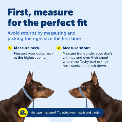 PetSafe Gentle Leader No-Pull Dog Headcollar - The Ultimate Solution to Pulling - Redirects Your Dog's Pulling for Easier Walks - Helps You Regain Control - Medium, Black - Image 6