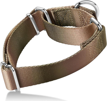 Martingale Dog Collar Colorful Gradient Fashionable - Anti-Escape Soft Durable Pets Collar for Walking Training Outdoor Daily Use -Medium, Purple Green - Image 9