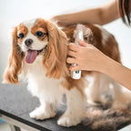 Full product kit of the generic pet trimmer including the USB charging cable.