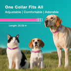 Close up of plant-based flea collar material