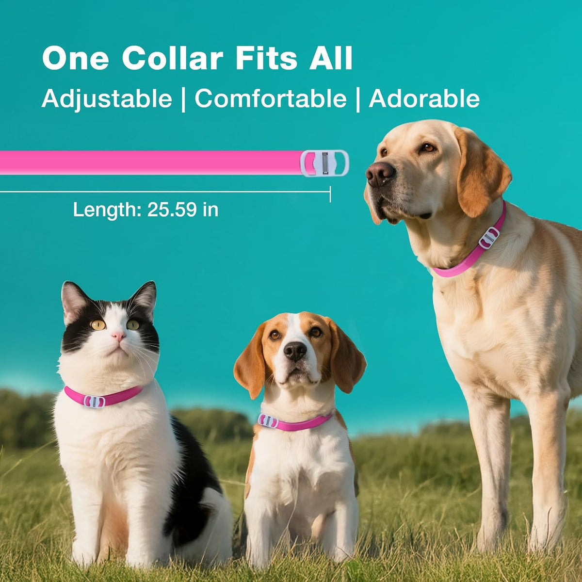 Close up of plant-based flea collar material