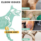 Side view of dog using hygroma elbow protector
