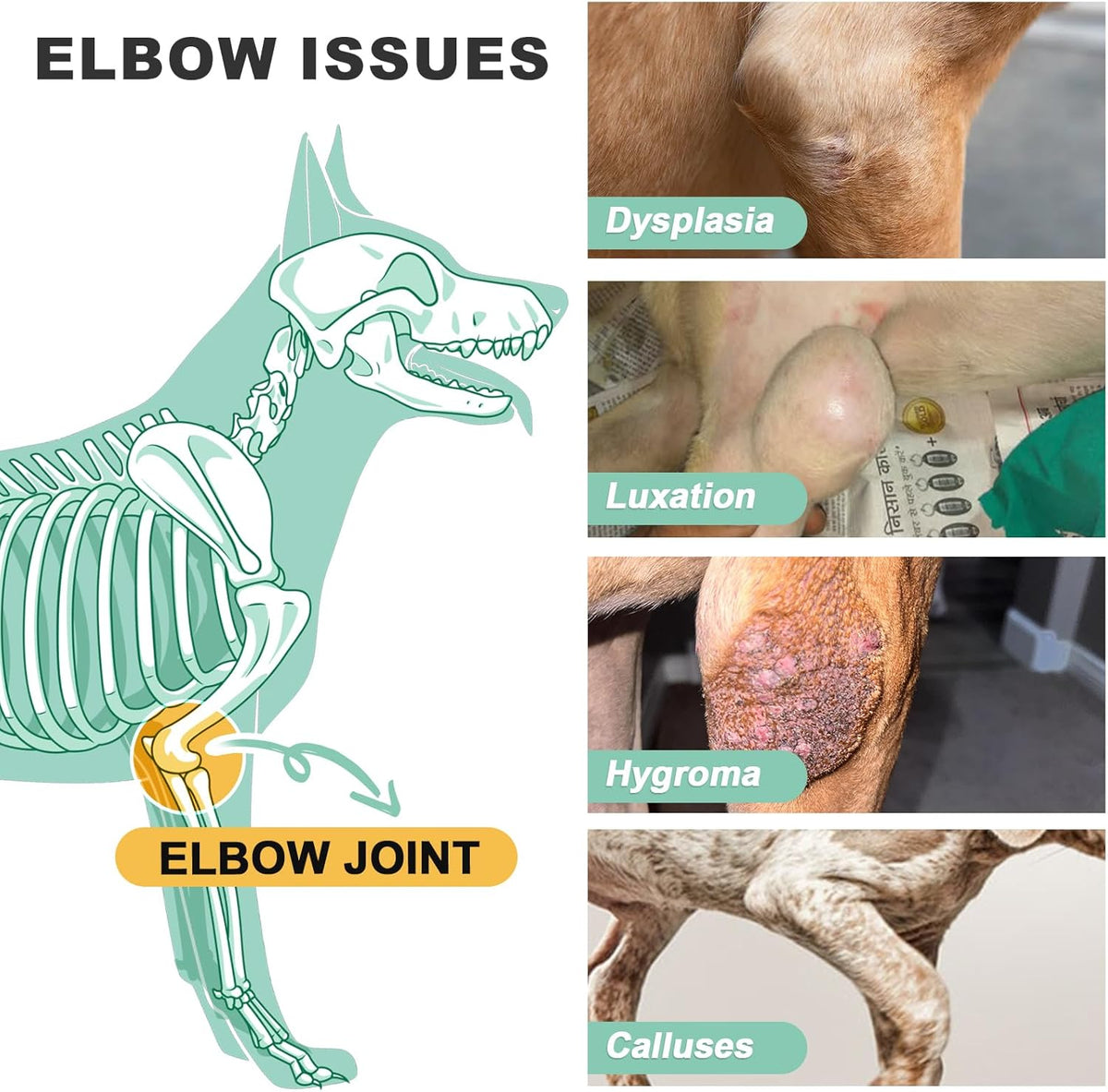 Side view of dog using hygroma elbow protector
