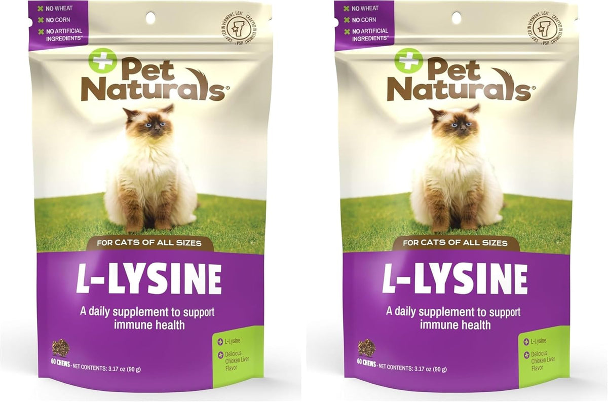 Cat enjoying daily Pet Naturals L-Lysine chew supplement