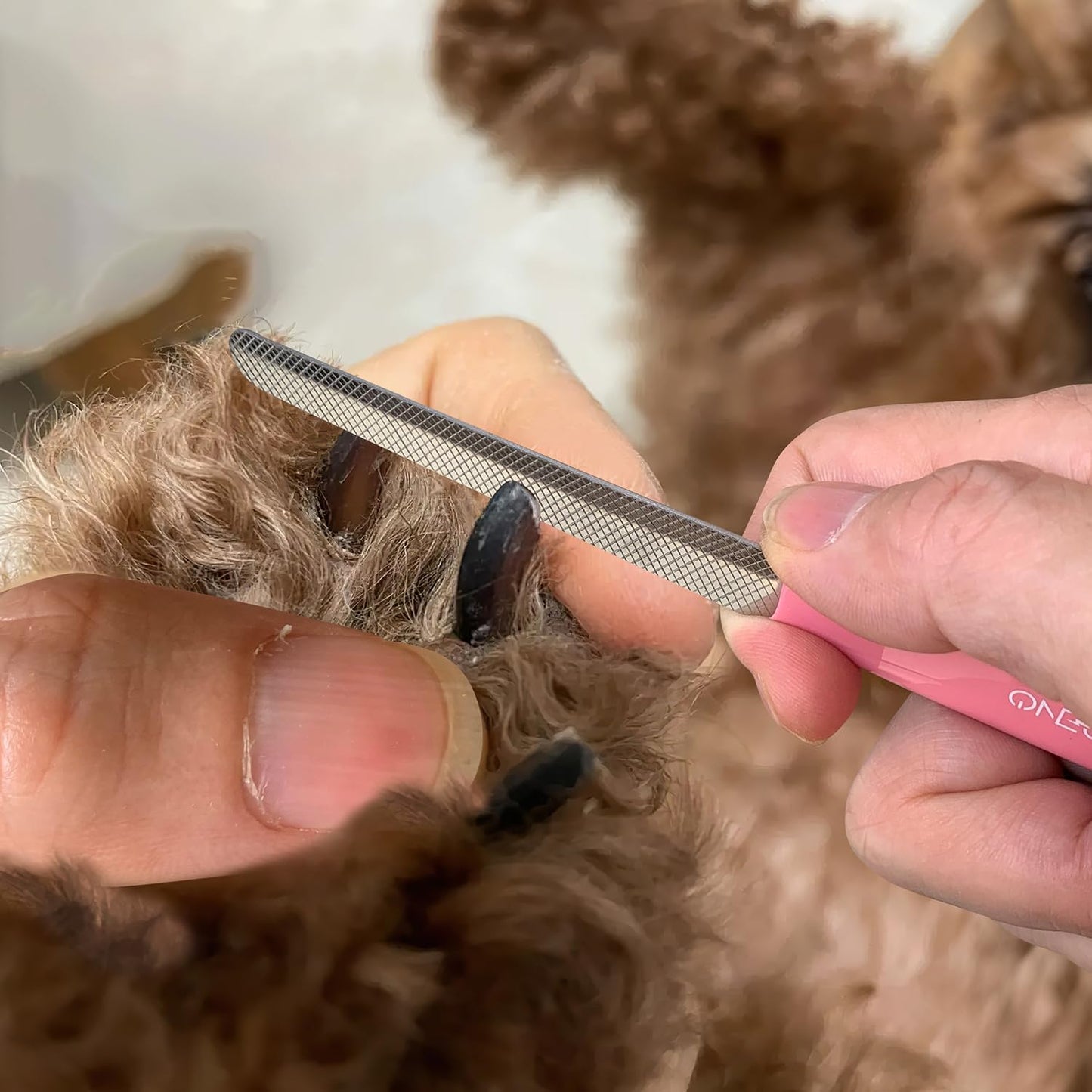 OneCut pet grooming set for dogs cats and small animals