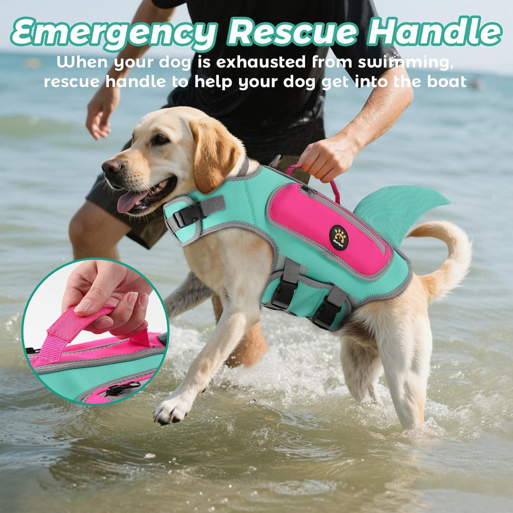Top view of Sheripet dog safety swimsuit showing the heavy-duty rescue handle and metal leash D-ring.