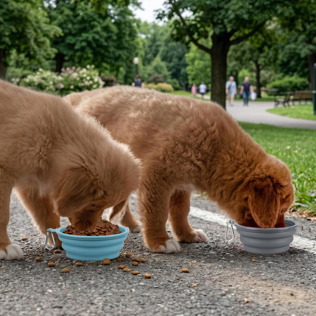 Kytely portable dog travel bowl set package including two silicone cups and clasps.