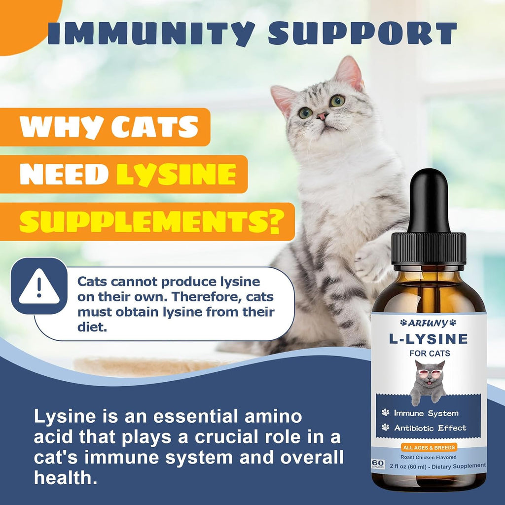 Two bottles of Santkol L-Lysine liquid for cats with dropper showing supplement information