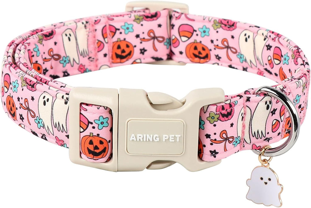 Vibrant dinosaur print dog collar flat lay
