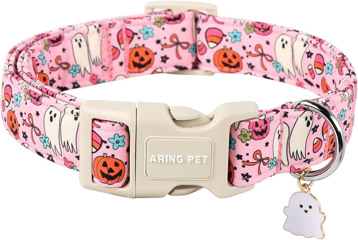 Vibrant dinosaur print dog collar flat lay