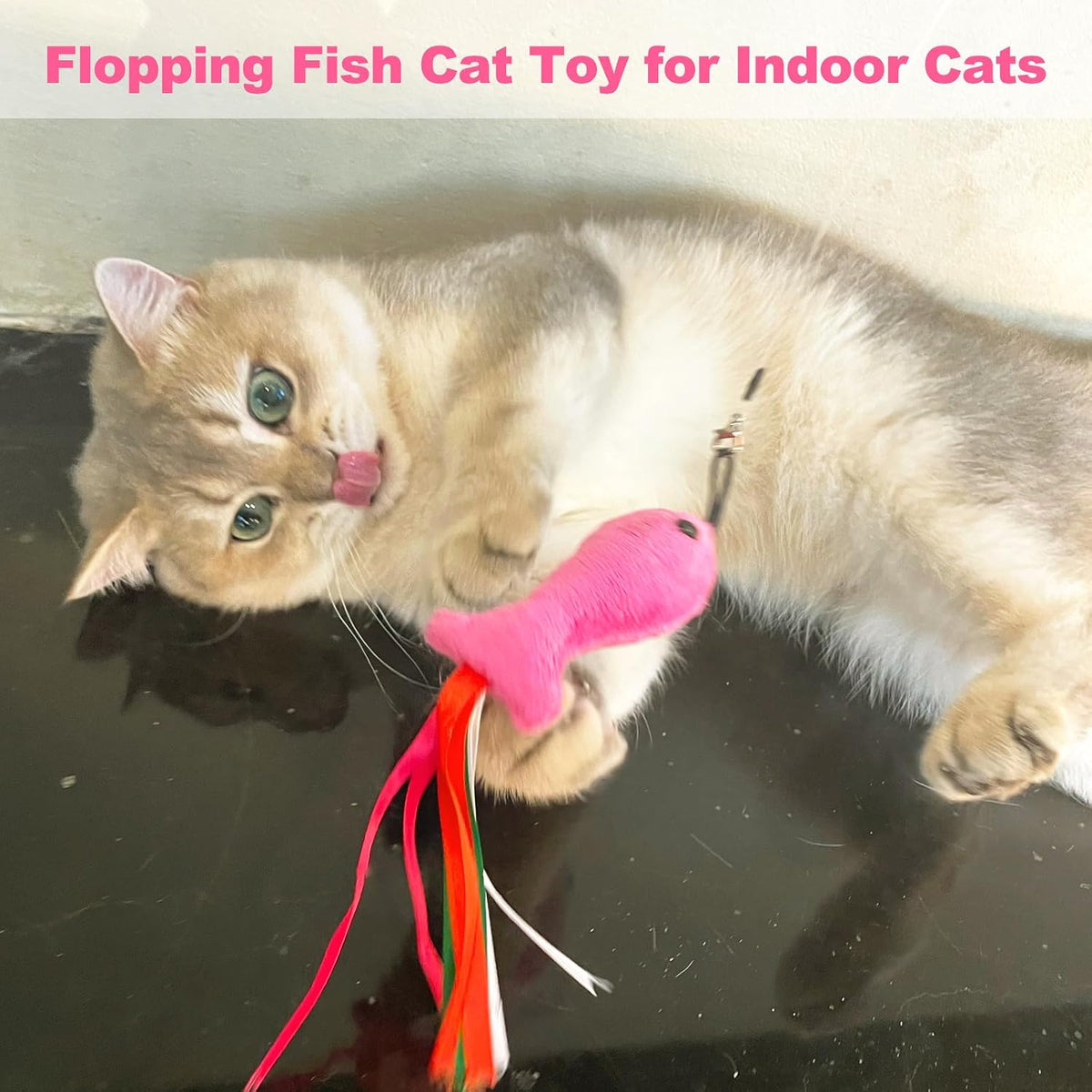 Plush fish cat toys being used as independent kicker pads on floor
