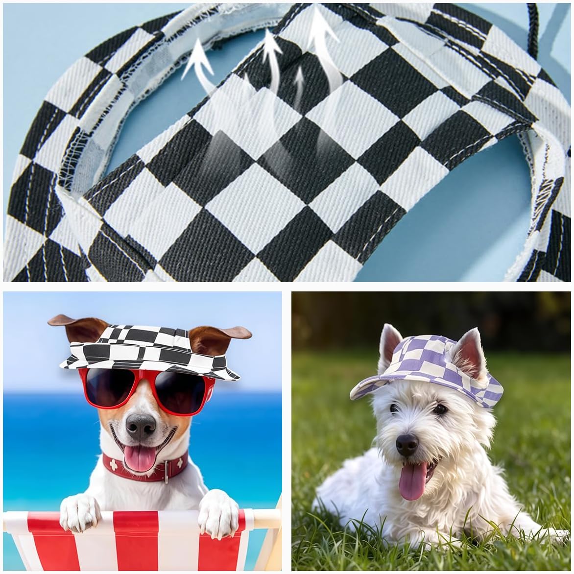 Small dog wearing blue fisherman style sun hat