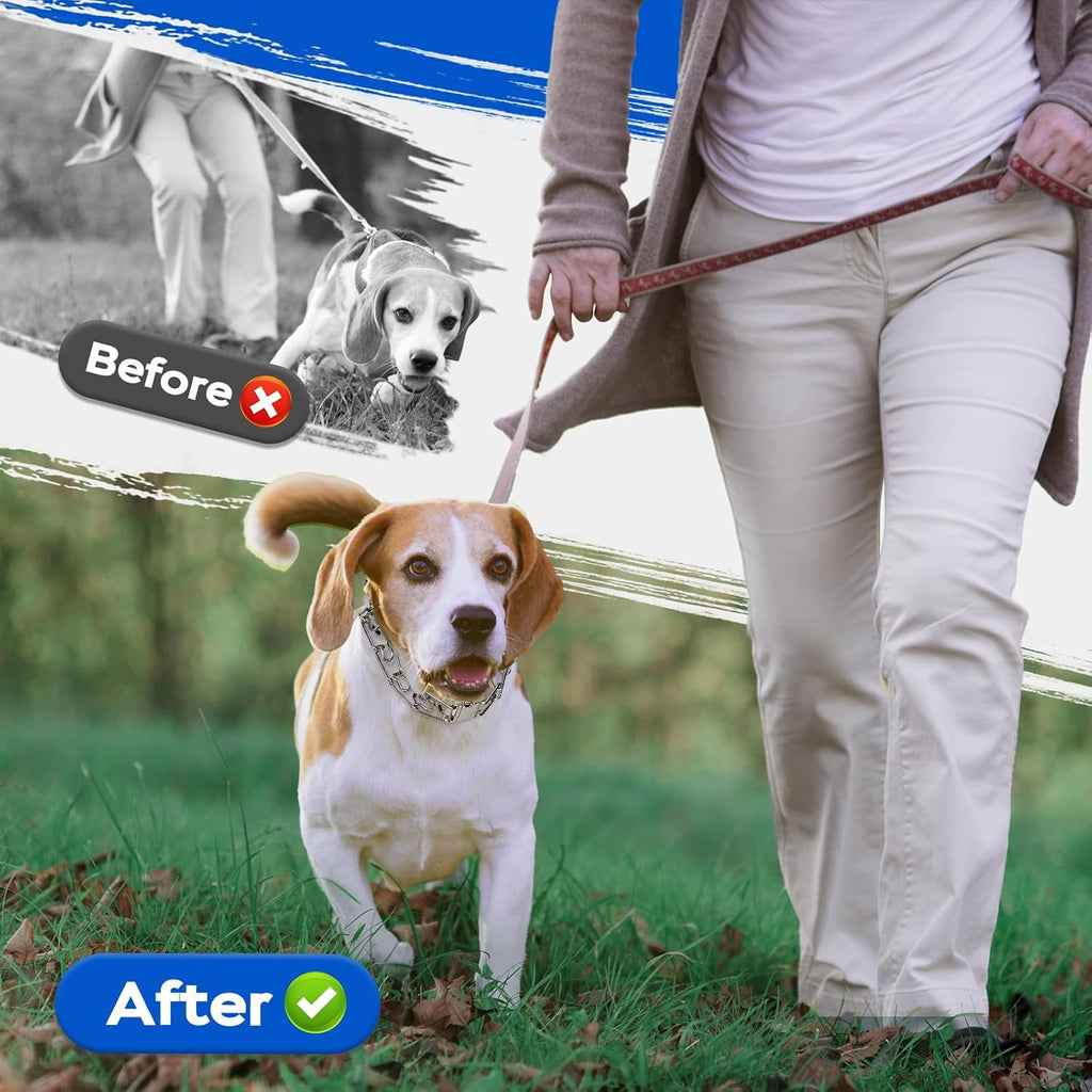 Durable metal quick release training collar for medium and large dogs.