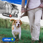 Durable metal quick release training collar for medium and large dogs.