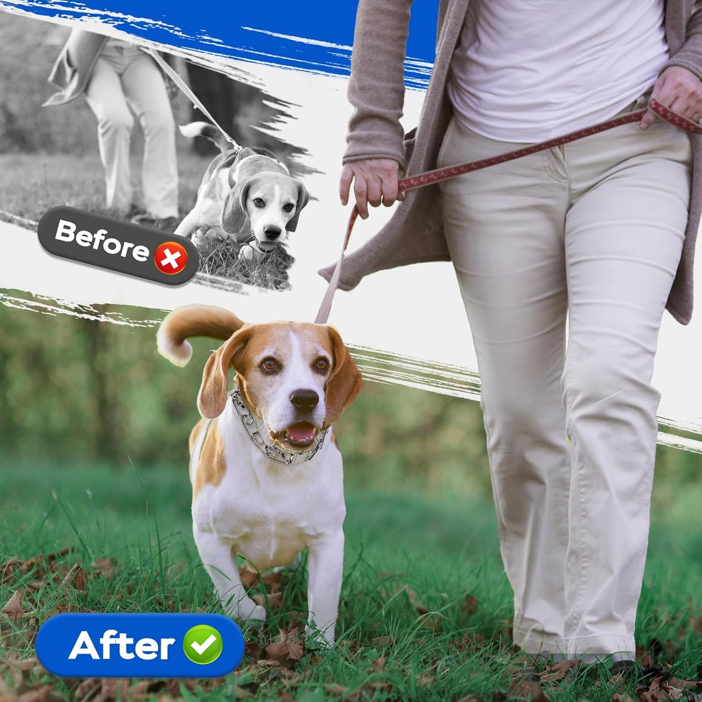 Durable metal quick release training collar for medium and large dogs.