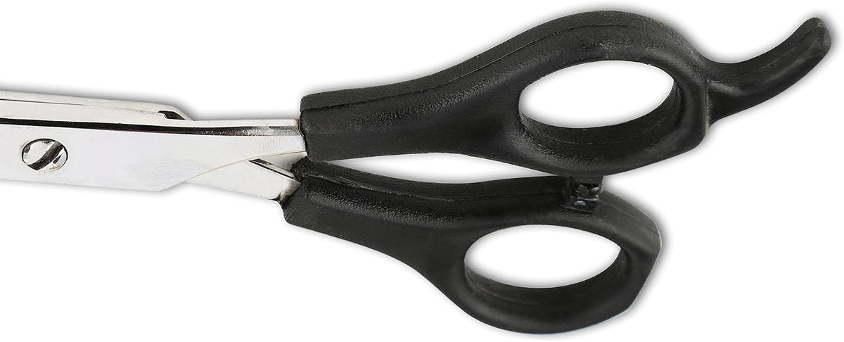 Laazar professional straight shear for cats and dogs in storage