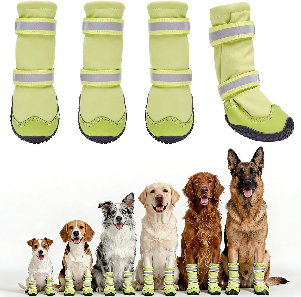 Dual strap closure system on Dimicoo dog footwear