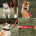 Hook and loop closure mechanism on a red pet warning tag
