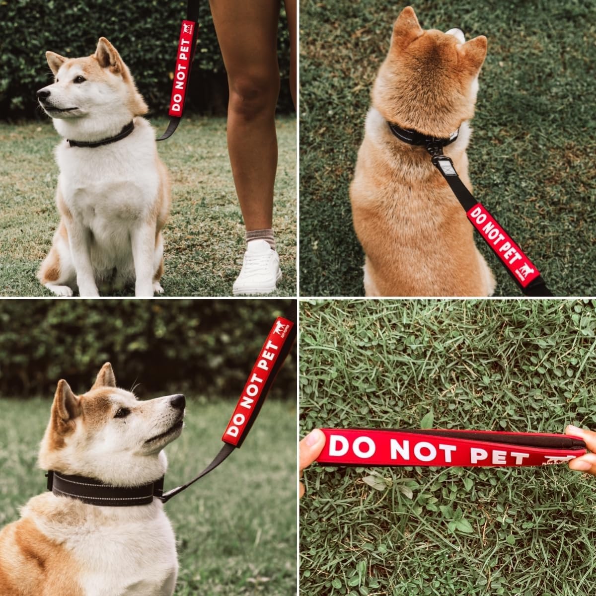 Hook and loop closure mechanism on a red pet warning tag