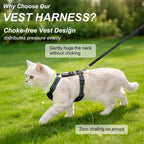 Beautyzoo adjustable cat vest harness overhead style design closeup