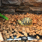 PeSandy 20W reptile warming pad packaged with US plug specifications