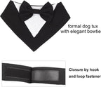 Imported ADOGGYGO gentleman style dog bandana on a pet model