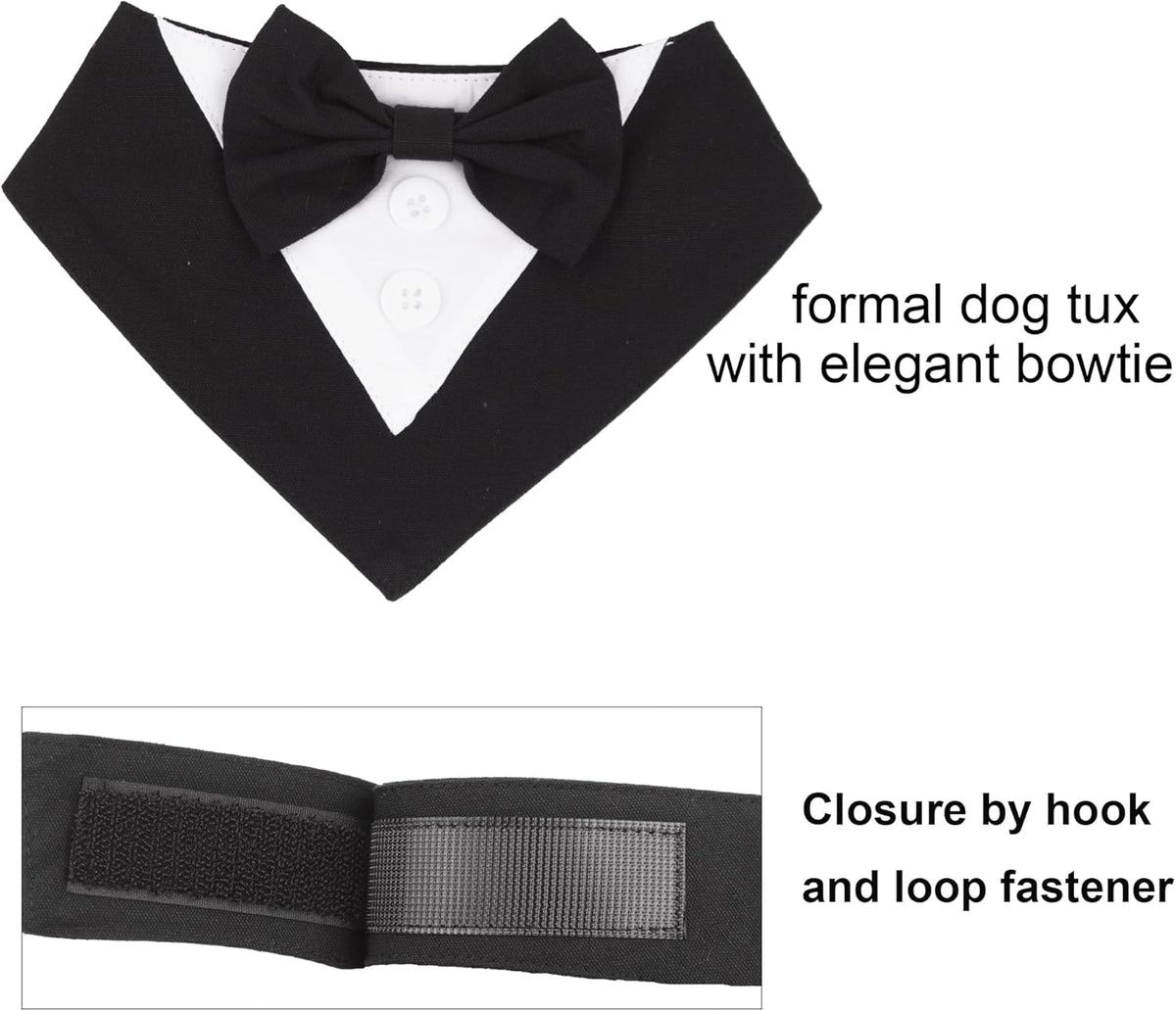 Imported ADOGGYGO gentleman style dog bandana on a pet model