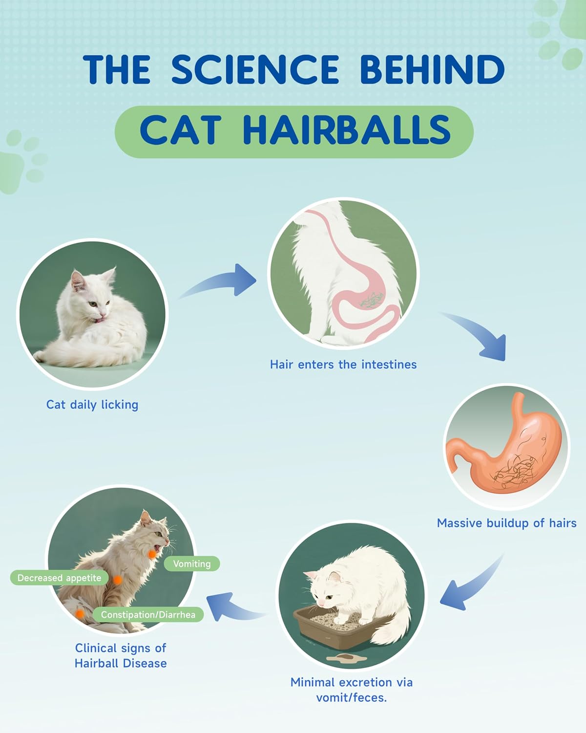 Premium cat furball remedy supplement bottle with detailed ingredient list