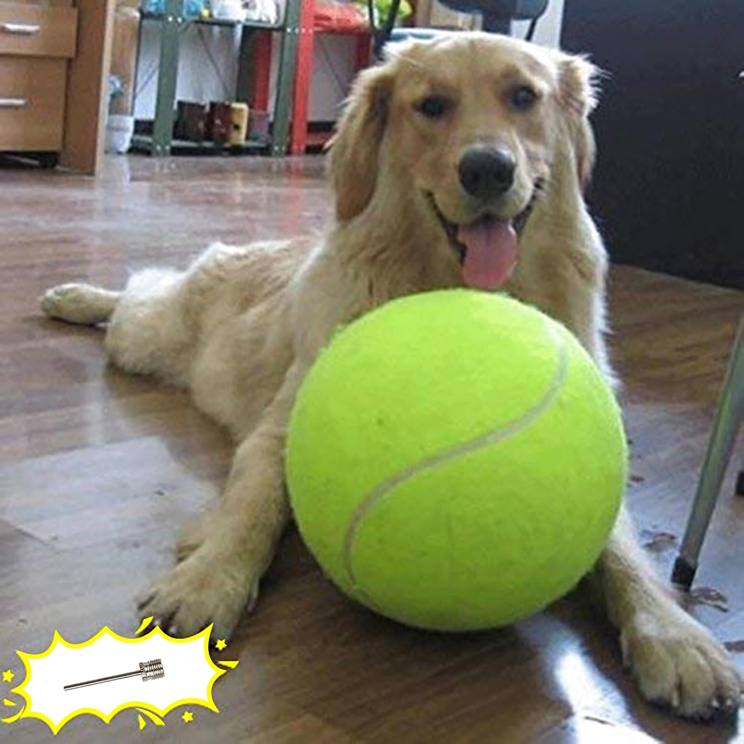 Banfeng giant dog tennis ball front view
