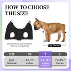 Pet inside Patiencet black grooming hammock for nail trim