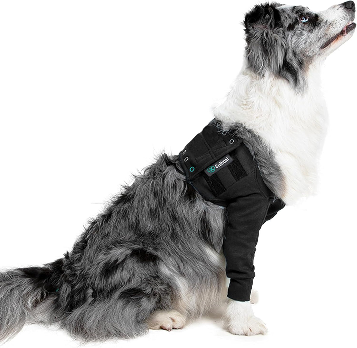 Suitical Recovery Sleeve for Dogs - Interchangeable, Single Sleeve Front Leg Protection for Post-Surgery, Hot Spots, or Skin Issues - Breathable, Machine Washable - L Black - Chest: 25.2-33.1 in - Image 14