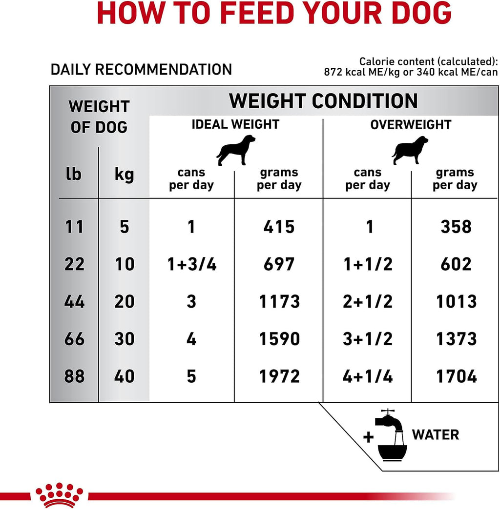 Royal Canin medical wet diet for dogs skin and gastrointestinal care