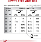 Royal Canin medical wet diet for dogs skin and gastrointestinal care
