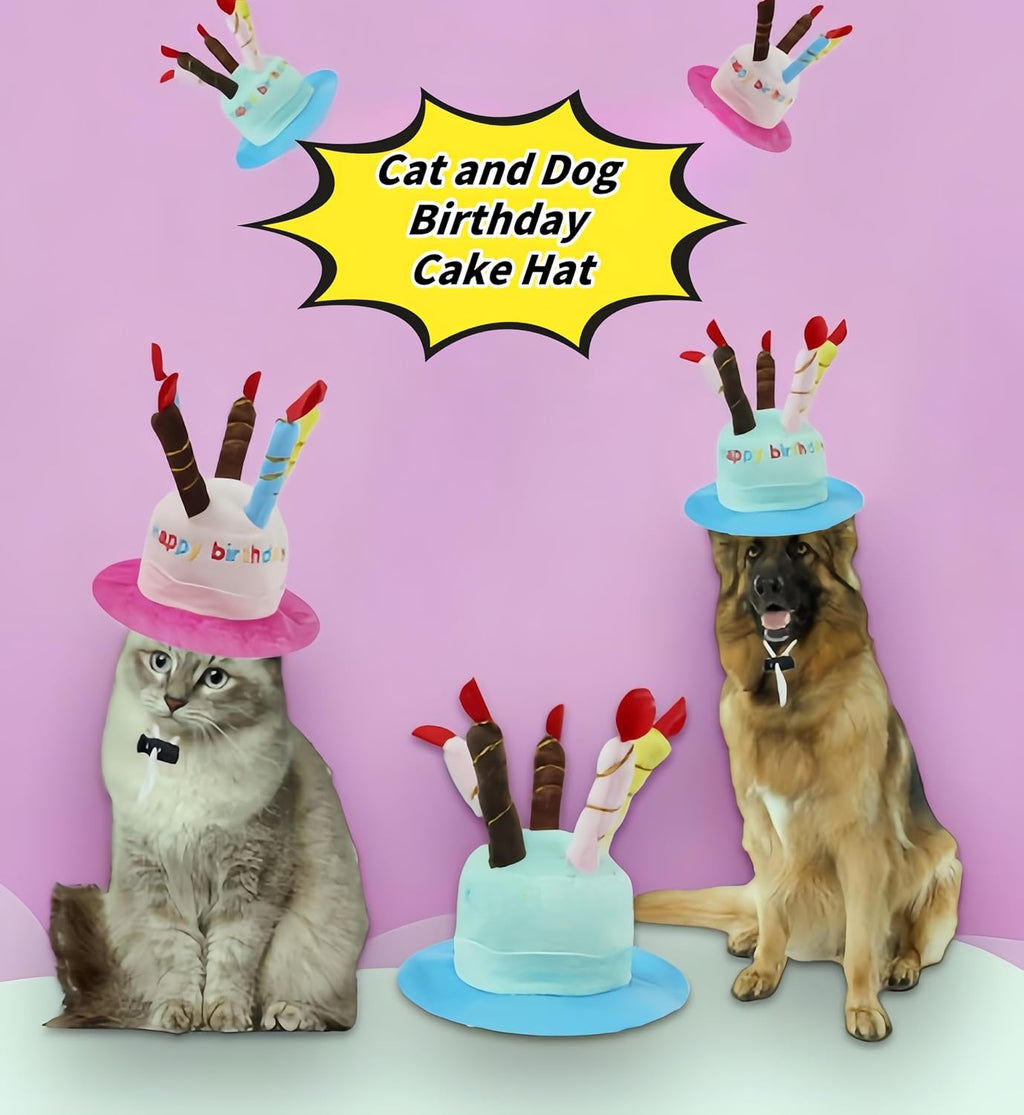 Close up of five colorful candles on pet birthday cap