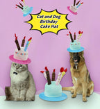 Close up of five colorful candles on pet birthday cap