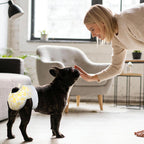 Pet Soft Disposable Dog Diapers Female, Pull Up Doggie Diapers for Female Dogs, 360 degreesStretchy Waist Puppy Diapers, Super Absorbent Doggy Diaper Leak Proof Design for Dogs in Heat (Small, Count, 20.0) - Image 9