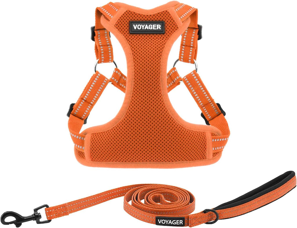 Best Pet Supplies Voyager Adjustable Step-in Flex Breathable Mesh Dog Harness for Small Medium Large Dogs Moss Green, S - Image 13