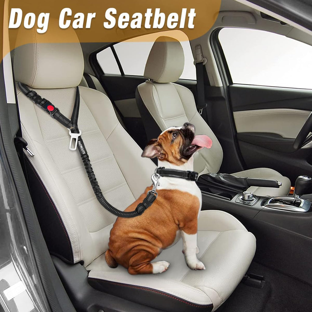 Adjustable pet vehicle headrest restraint showing elastic bungee