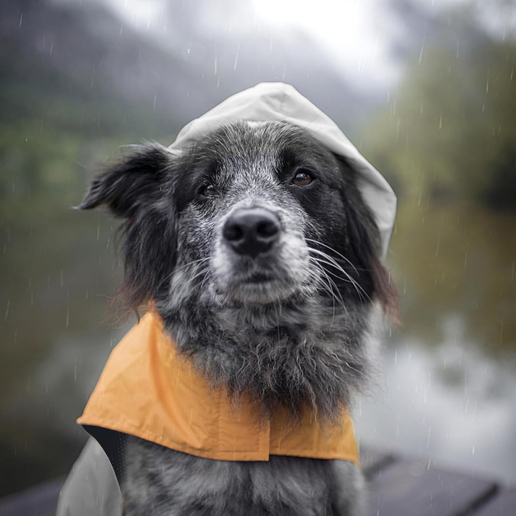 Back perspective of the medium size Havenfly pet rain poncho illustrating coverage and visibility strips.