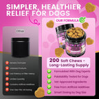 Premium imported Dolean dog supplement bottle for environmental sensitivities and gut health