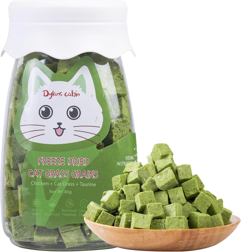 Dylan's Cabin Cat Grass Teething Cube Treats front view jar packaging.