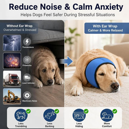 Dog wearing blue noise protection ear wrap side view
