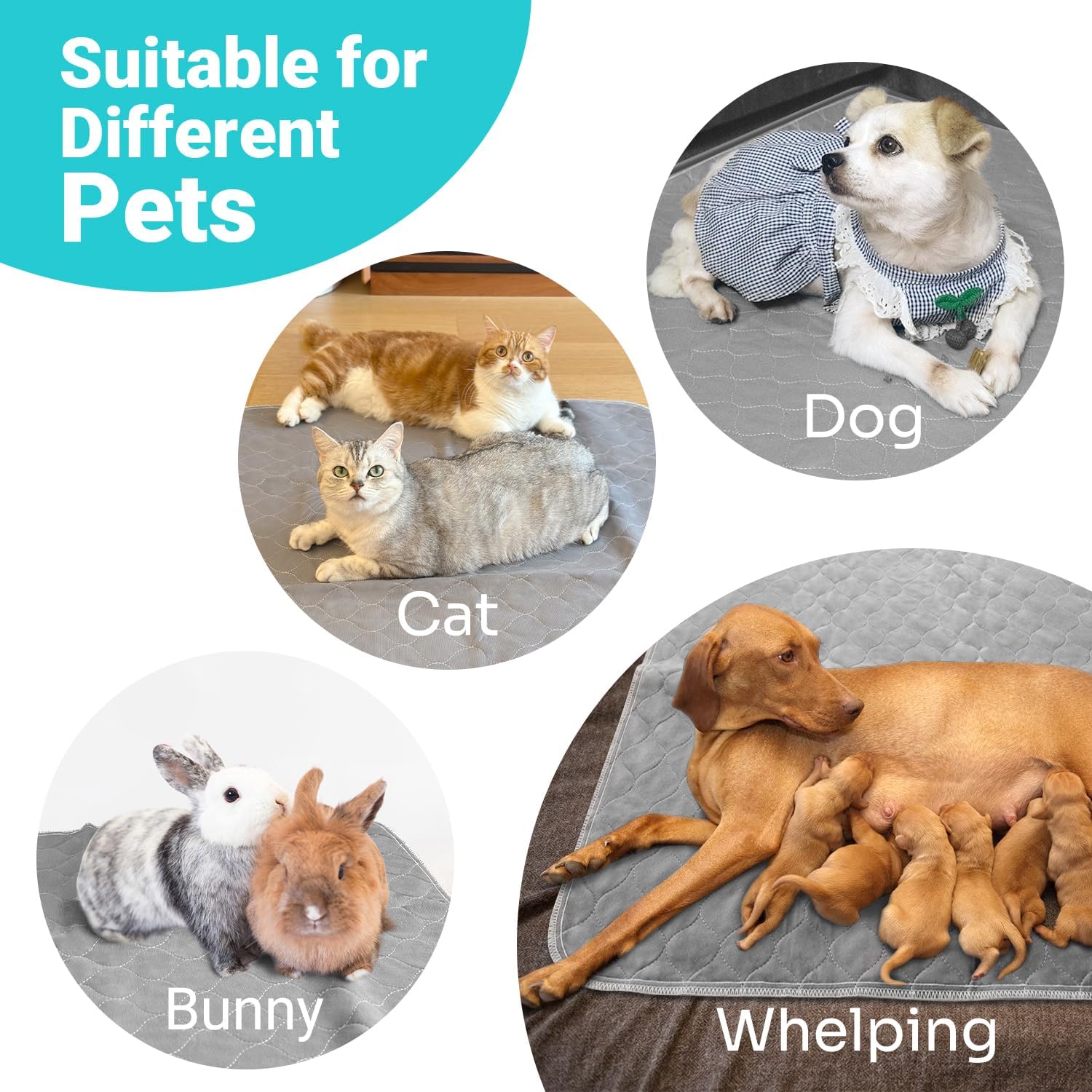 Conkote waterproof dog mat used for senior dog incontinence