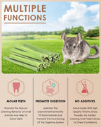 Small animal dental chew sticks made from organic papaya stems