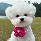 Luxury dog jewelry necklace close up showing the detailed simulation pearls