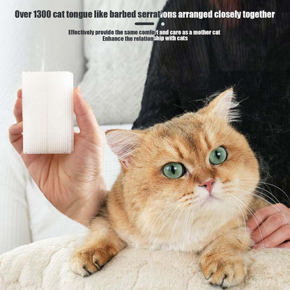 SoarExcelyy lightweight kitty grooming tool removing loose fur from a kitten safely.